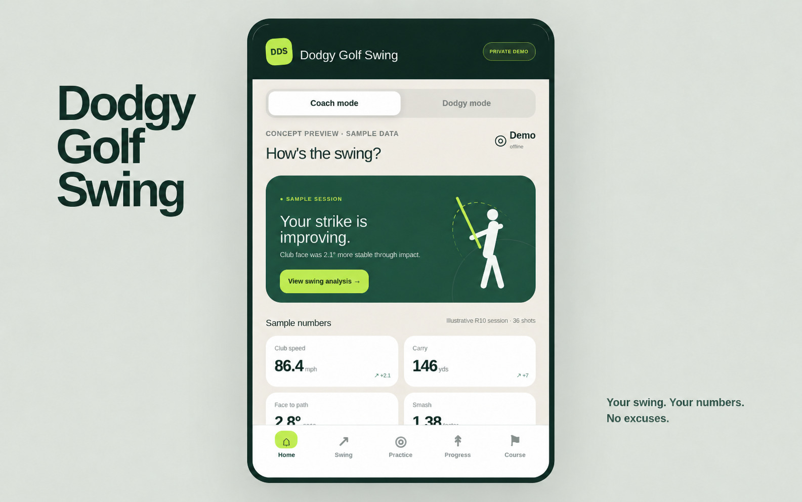 Dodgy Golf Swing product interface preview